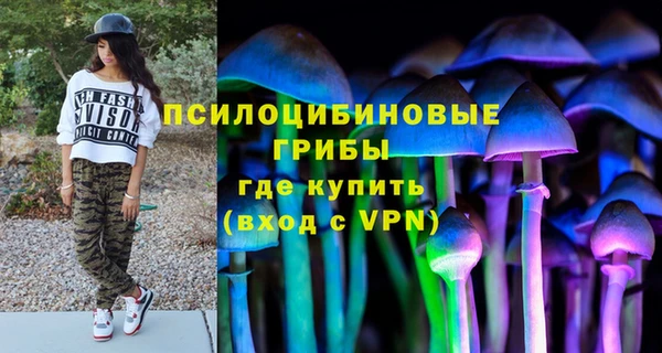 дмт Алексеевка