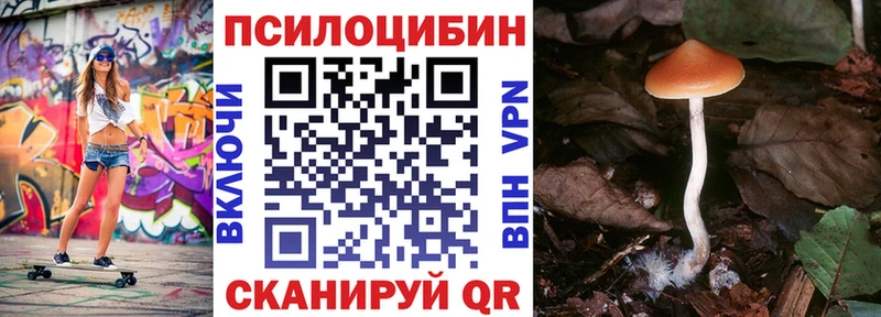 Галлюциногенные грибы ЛСД  купить   shop формула  Карабаш 